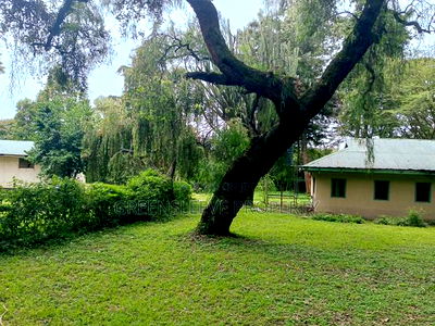 Land for Sale - Image 8