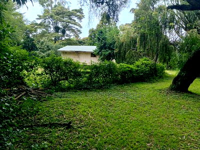 Land for Sale - Image 9