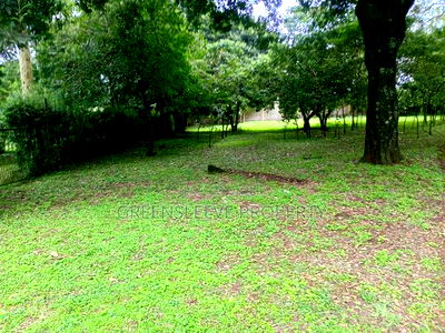 Land for Sale - Image 13