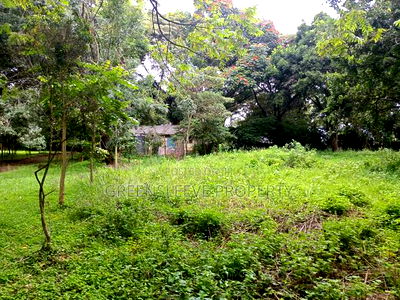 Land for Sale - Image 11