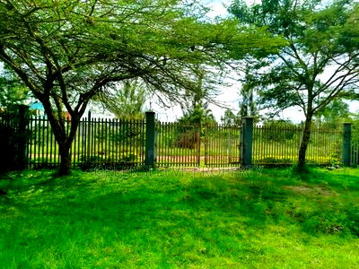 Land for Sale - Image 6