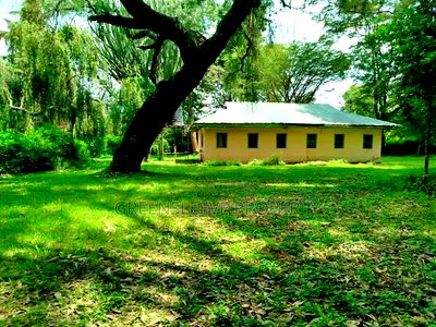 Land for Sale - Image 2