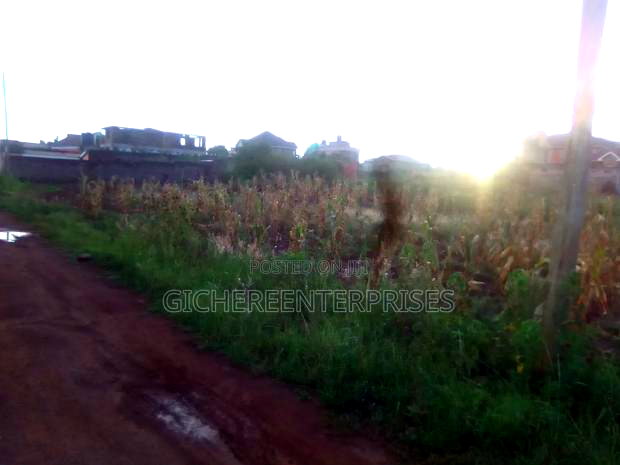 Twiga Estate Ruiru Toll