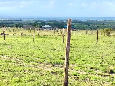 Prime One Acre in Joska. - Image 1