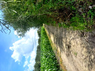 Prime One Acre in Joska. - Image 2