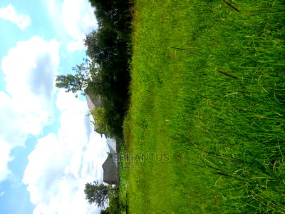 Prime One Acre in Joska. - Image 3