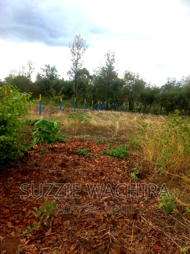 40*80ft Plots at Mwea Makutano in Kirinyaga County