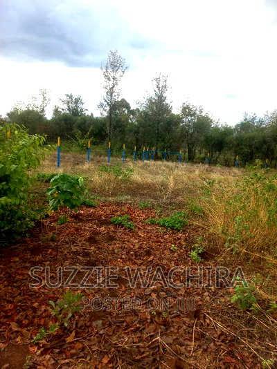 40*80ft Plots at Mwea Makutano in Kirinyaga County - Image 2