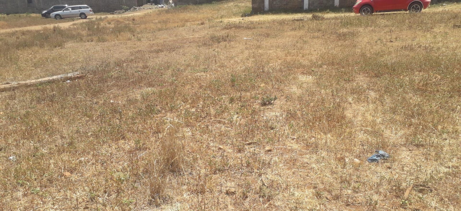 Pet Friendly Plot in Joska