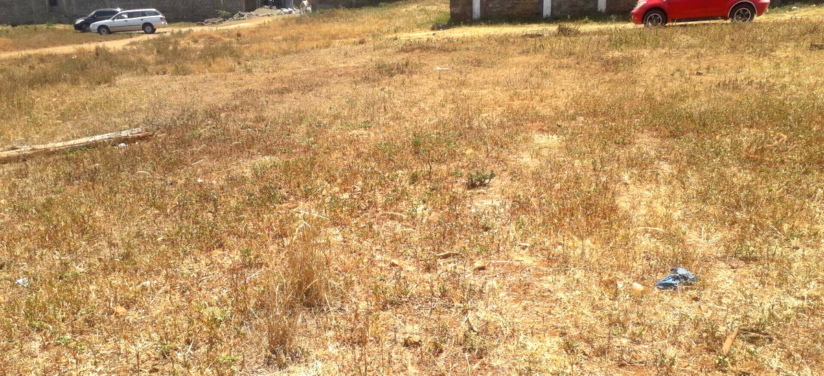 Pet Friendly Plot in Joska