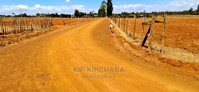 Prime 1 Acre Land Merewet 100 Metres From Highway Eldoret - Image 2