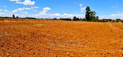 Prime 1 Acre Land Merewet 100 Metres From Highway Eldoret - Image 5