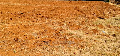 Prime 1 Acre Land Merewet 100 Metres From Highway Eldoret - Image 6