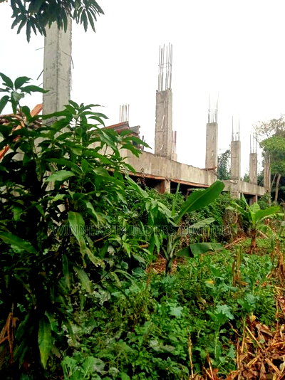 100 by 100 Plot for Sale at Kiamumbi - Image 6