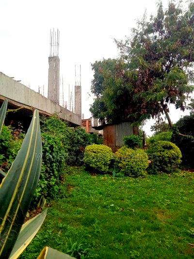 100 by 100 Plot for Sale at Kiamumbi - Image 3