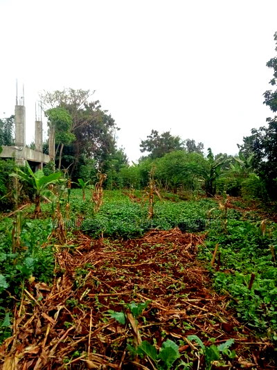 100 by 100 Plot for Sale at Kiamumbi - Image 4