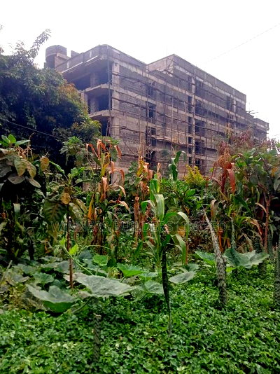 100 by 100 Plot for Sale at Kiamumbi - Image 2