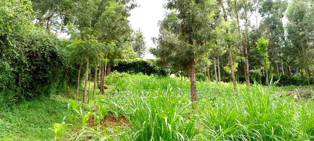 Quarter Acre Plot for Sale in Ngong Kerarapon Drive.