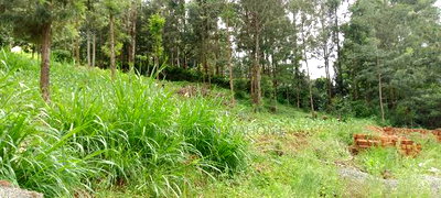 Quarter Acre Plot for Sale in Ngong Kerarapon Drive. - Image 3