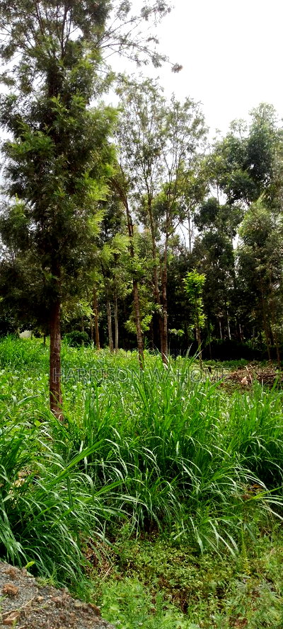 Quarter Acre Plot for Sale in Ngong Kerarapon Drive. - Image 1