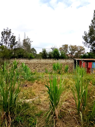 100*100 for Sale at Githurai Mwihiko Road - Image 6
