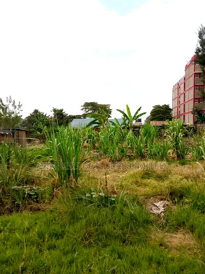 100*100 for Sale at Githurai Mwihiko Road - Image 2