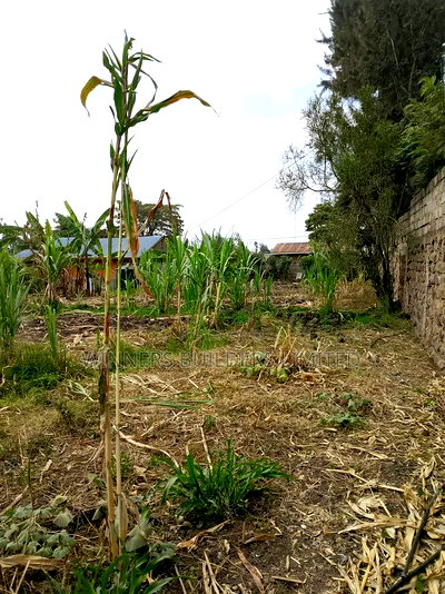 100*100 for Sale at Githurai Mwihiko Road - Image 5