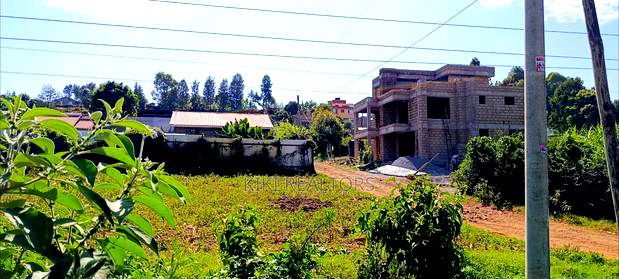 Kikuyu Sigona Prime Plot