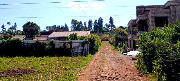 Kikuyu Sigona Prime Plot