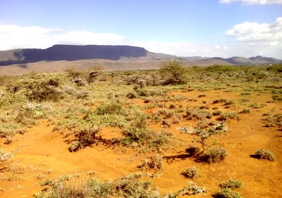 1/8 Acre Plot Near Standard Gauge Railway