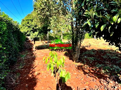 Prime Residential Plots for Sale in Kikuyu, Gikambura. - Image 11
