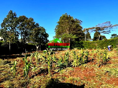 Prime Residential Plots for Sale in Kikuyu, Gikambura. - Image 15