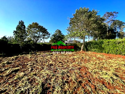 Prime Residential Plots for Sale in Kikuyu, Gikambura. - Image 17