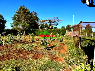 Prime Residential Plots for Sale in Kikuyu, Gikambura. - Image 9