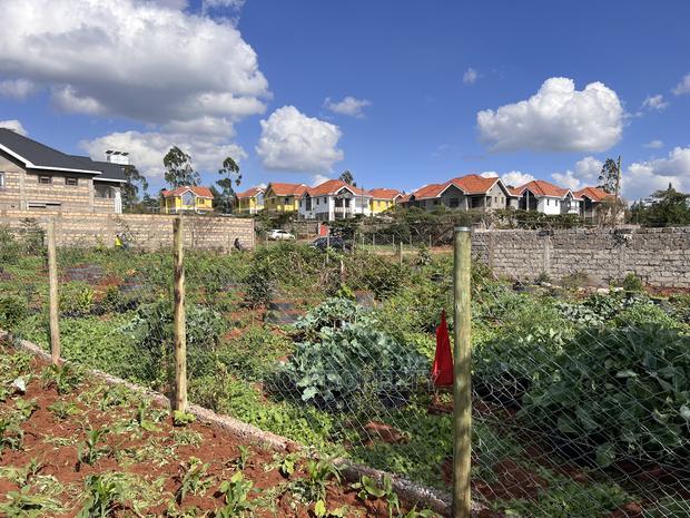 Prime Residential Plot for Sale in Kikuyu,Gikambura.