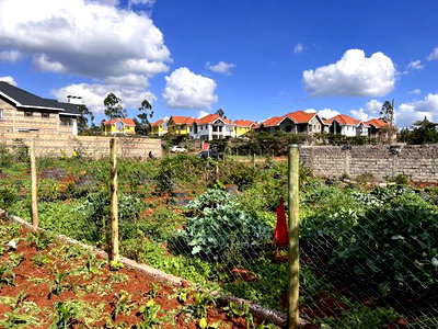 Prime Residential Plot for Sale in Kikuyu,Gikambura. - Image 2