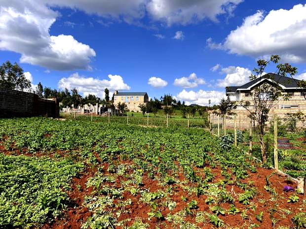Prime Residential Plot for Sale in Kikuyu,Gikambura.