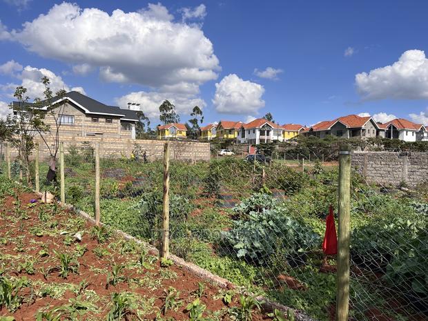 Prime Residential Plot for Sale in Kikuyu,Gikambura.