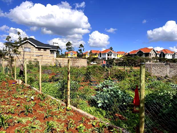 Prime Residential Plot for Sale in Kikuyu,Gikambura.