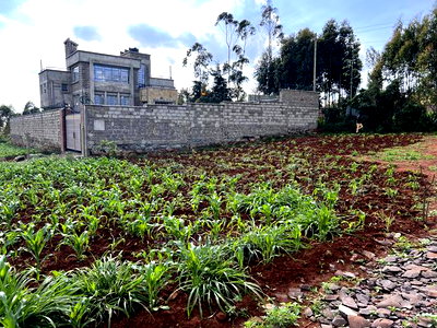 Prime Residential Plot for Sale in Kikuyu,Gikambura. - Image 13