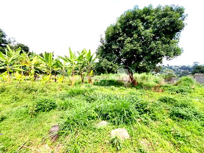 Spring Valley 3.5 Acres Land for Sale - Image 4