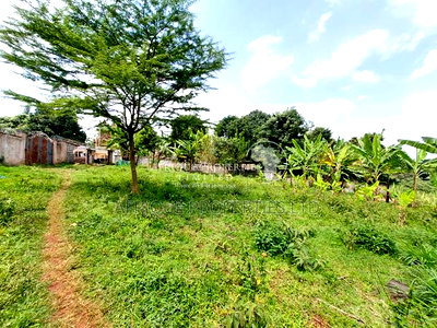 Spring Valley 3.5 Acres Land for Sale - Image 3