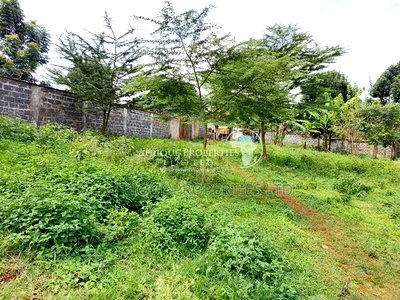 Spring Valley 3.5 Acres Land for Sale - Image 6