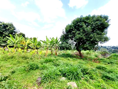 Spring Valley 3.5 Acres Land for Sale - Image 2