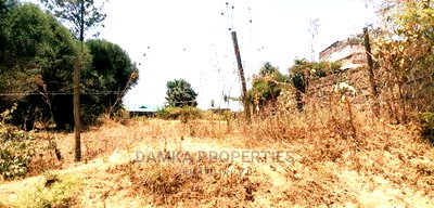50*100 Plot for Sale in Kiamunyi 500mts From Tarmac - Image 6