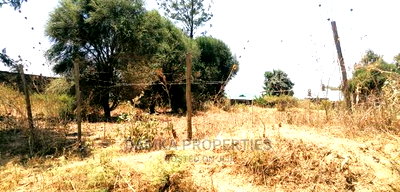 50*100 Plot for Sale in Kiamunyi 500mts From Tarmac - Image 4