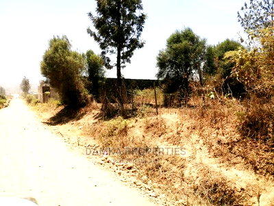 50*100 Plot for Sale in Kiamunyi 500mts From Tarmac - Image 1