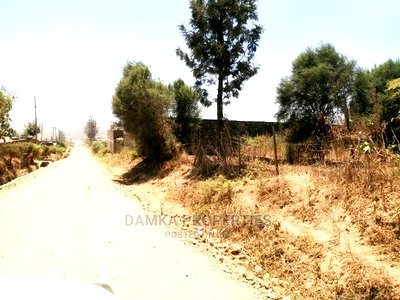 50*100 Plot for Sale in Kiamunyi 500mts From Tarmac - Image 5