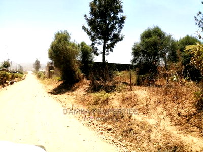 50*100 Plot for Sale in Kiamunyi 500mts From Tarmac - Image 3
