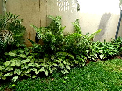 5bdrm Townhouse/Terrace in Langata for sale - Image 19